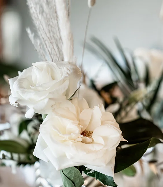 Bodas Armony Resort - MGallery Collection