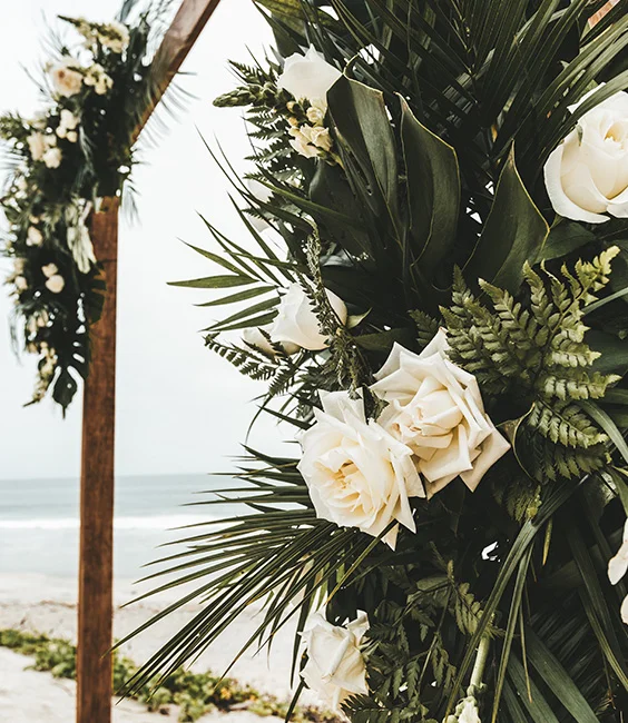 Bodas Armony Resort - MGallery Collection